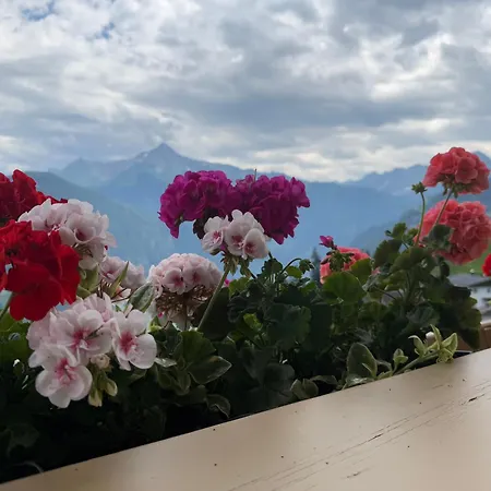 Ahornblick Im Johanna In Hippach-mayrhofen - Naehe Skipiste
