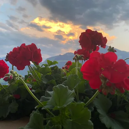 Ahornblick Im Johanna In Hippach-mayrhofen - Naehe Skipiste Daire Hippach