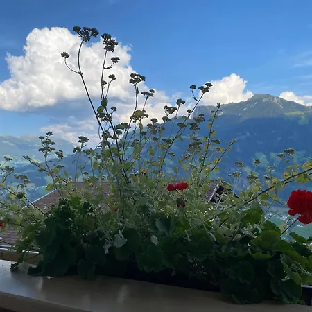 아파트 Ahornblick Im Johanna In Hippach-mayrhofen - Naehe Skipiste 힙파흐