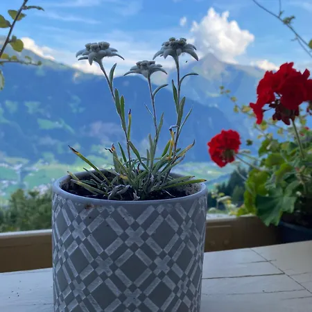 Ahornblick Im Johanna In Hippach-mayrhofen - Naehe Skipiste *