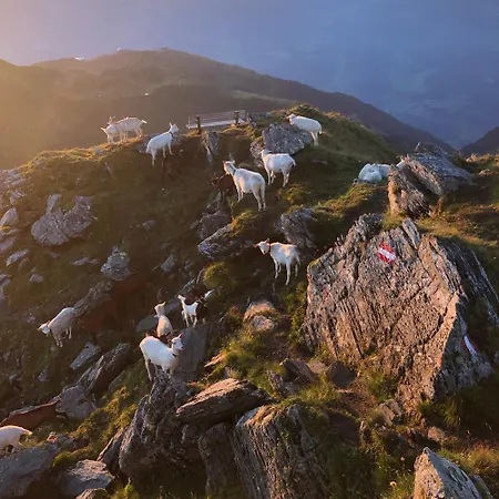 Ahornblick Im Johanna In Hippach-mayrhofen - Naehe Skipiste Apartman *