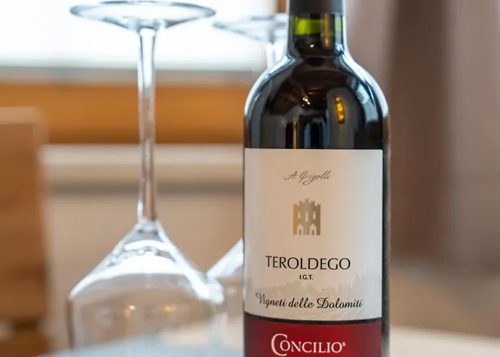 Ahornblick Im Johanna In Hippach-mayrhofen - Naehe Skipiste * Hippach