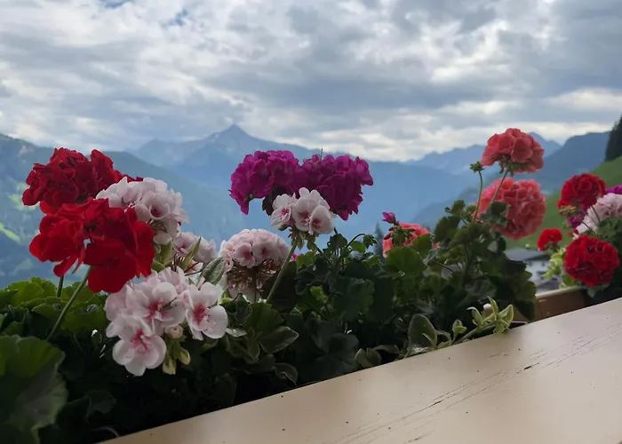 Ahornblick Im Johanna In Hippach-mayrhofen - Naehe Skipiste