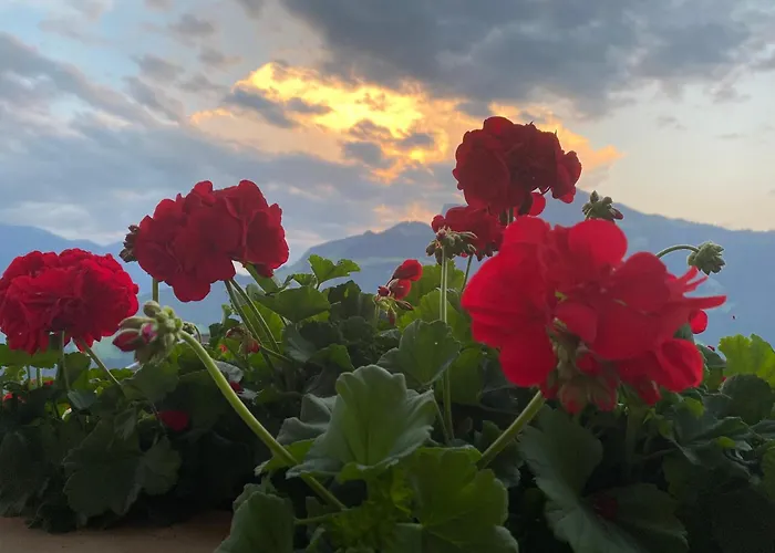 Ahornblick Im Johanna In Hippach-mayrhofen - Naehe Skipiste Apartman Hippach