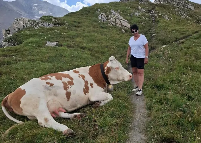 Ahornblick Im Johanna In Hippach-mayrhofen - Naehe Skipiste