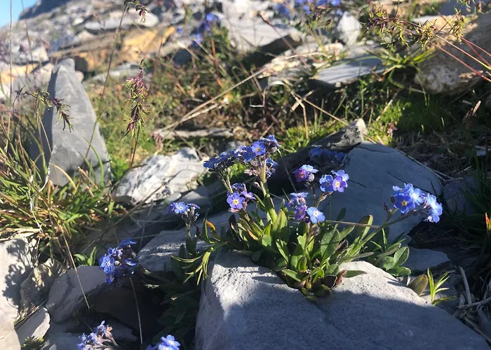 Ahornblick Im Johanna In Hippach-mayrhofen - Naehe Skipiste Apartman