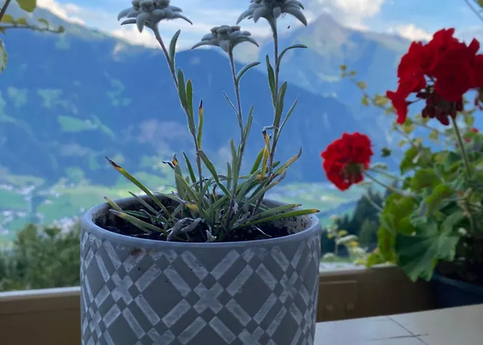 Ahornblick Im Johanna In Hippach-mayrhofen - Naehe Skipiste *