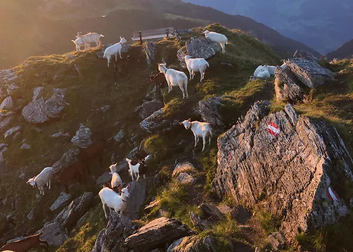 Ahornblick Im Johanna In Hippach-mayrhofen - Naehe Skipiste Apartman *