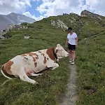 Ahornblick Im Johanna In Hippach-mayrhofen - Nähe Skipiste