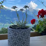 Ahornblick Im Johanna In Hippach-mayrhofen - Nähe Skipiste *