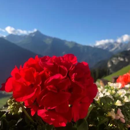 Apartment Ahornblick Im Johanna In Hippach-mayrhofen - Nähe Skipiste Hippach