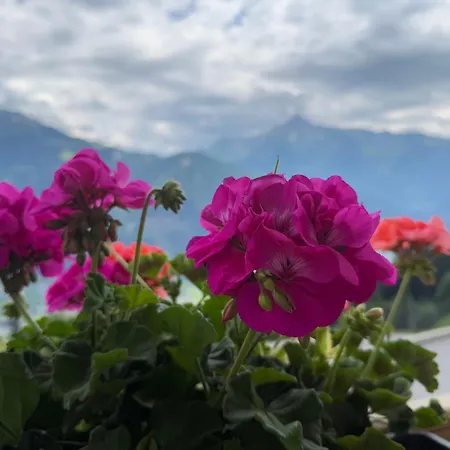 Ahornblick Im Johanna In Hippach-mayrhofen - Nähe Skipiste Apartment