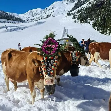 Lägenhet Ahornblick Im Johanna In Hippach-mayrhofen - Naehe Skipiste Hippach