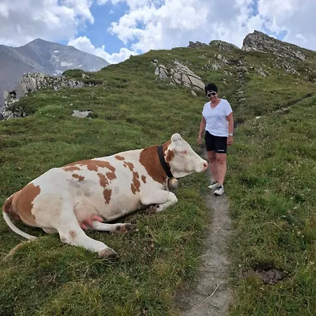 Ahornblick Im Johanna In Hippach-mayrhofen - Naehe Skipiste