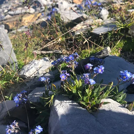 Ahornblick Im Johanna In Hippach-mayrhofen - Naehe Skipiste Lägenhet