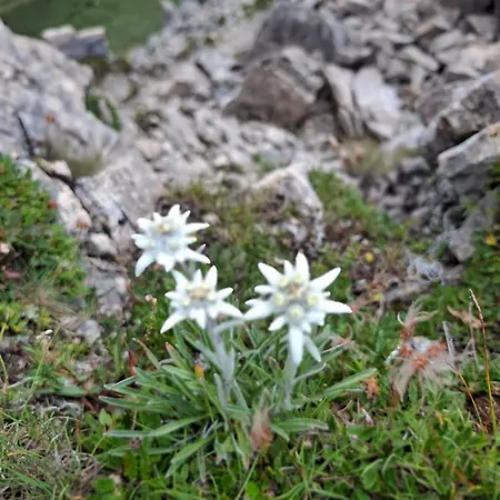 Ahornblick Im Johanna In Hippach-mayrhofen - Nähe Skipiste