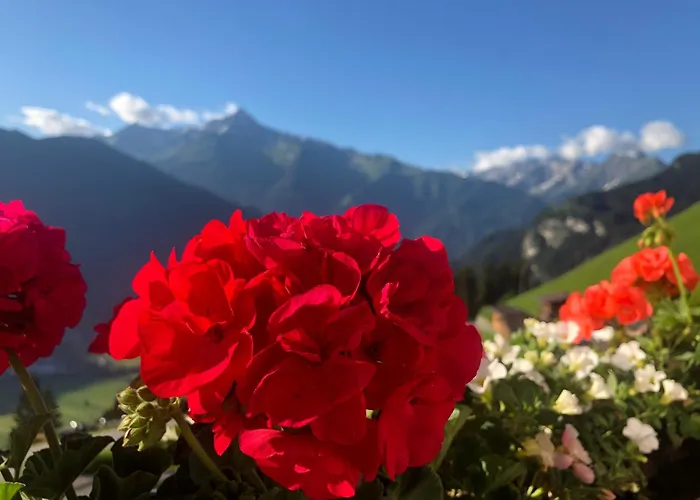 Apartmán Ahornblick Im Johanna In Hippach-mayrhofen - Naehe Skipiste Hippach
