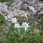 Ahornblick Im Johanna In Hippach-mayrhofen - Naehe Skipiste