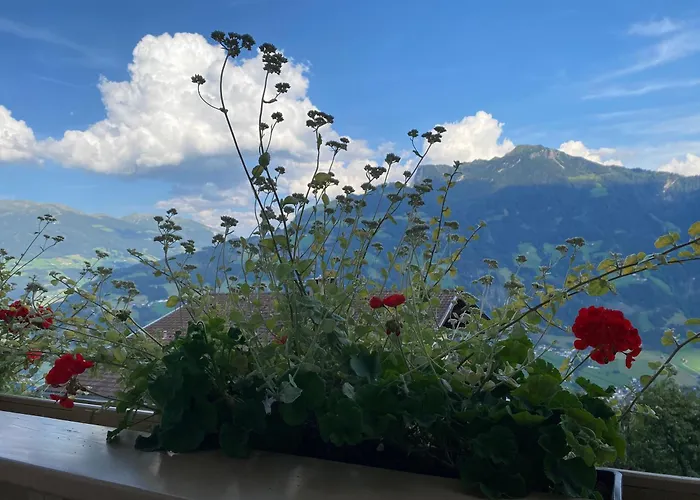 Apartament Ahornblick Im Johanna In Hippach-mayrhofen - Naehe Skipiste Hippach